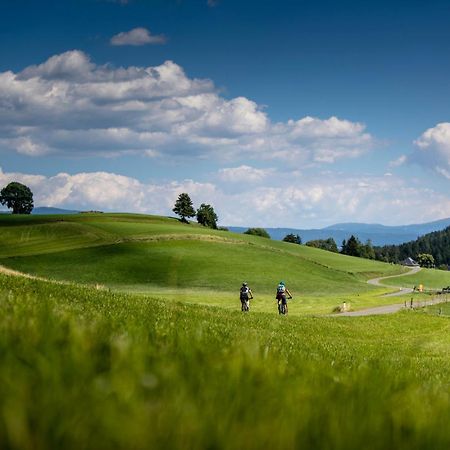 Gartenloft An Der Mur Murau Zewnętrze zdjęcie