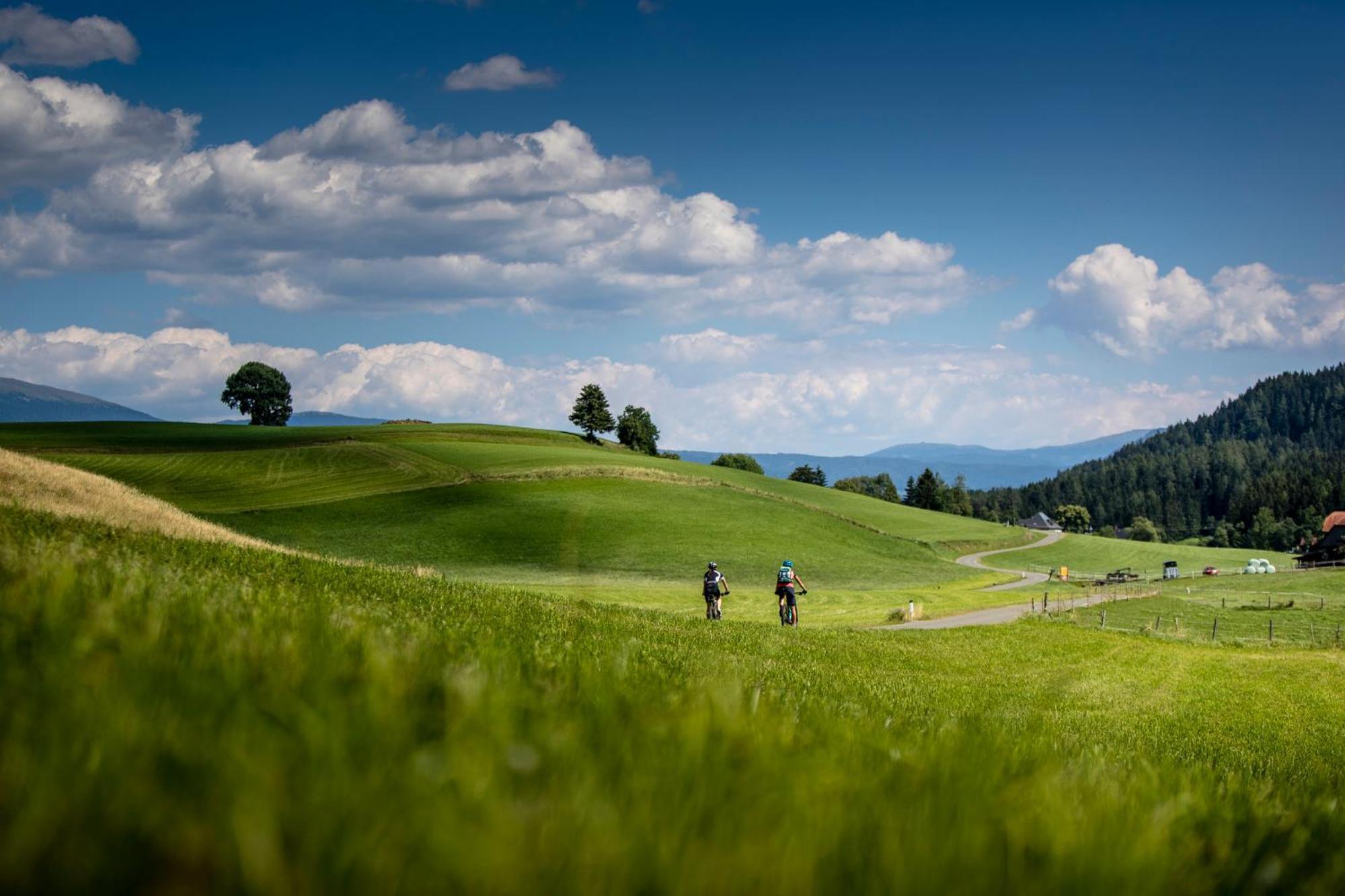 Gartenloft An Der Mur Murau Zewnętrze zdjęcie